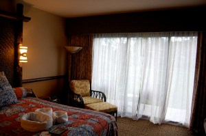 6546606641_c02aa7826d_b