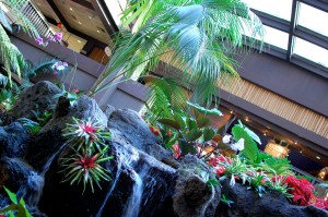 6546621109_6ccbaf90b6_b