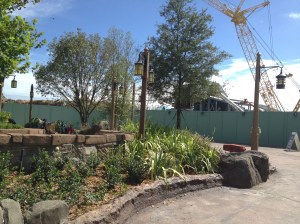 Behind the secret door...