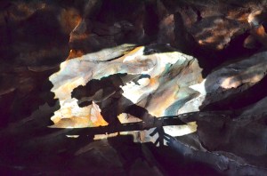 Just about the only Yeti you'll see these days.