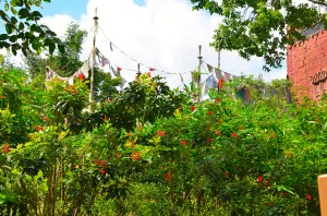 I think I took this photo by the bathroom. Still - pretty!
