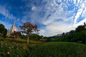 One of my favorite MK pictures.