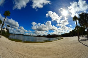 A beautiful December day in Disney.
