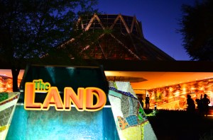 Evening at The Land.