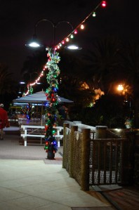 The marina dressed up for Christmas. Also, bar/quick service seating by the water.