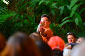 This bird is in the show, *and* he steals your money. Watch out for him.