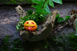 One assumes this was created by Disney, not by nature.