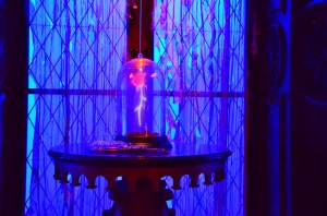 Pretty, and a photography draw for just about everyone, which is unfortunate for those people who sit next to the rose.