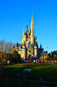 A crane-less castle photo!