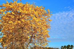 Did I mention...beautiful?