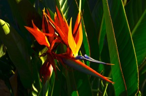 In case you've forgotten already: beautiful landscaping.