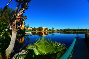 One last lakeside walk before check-out.