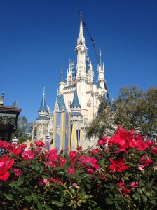 Stupid crane, still ruining otherwise beautiful shots.