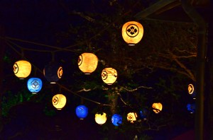 Pretty Japanese lanterns at night.