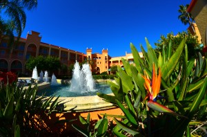 Seriously gorgeous, right?