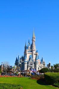 A rare crane-free photograph!