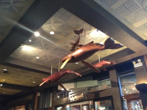 Flying fish (sort of).