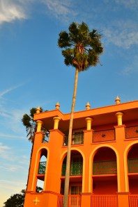 Gorgeous afternoon sunlight.
