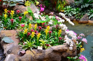 When I get rich and famous I'm totally building a replica Great Ceremonial House...in my house.