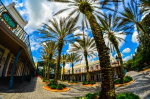How often can you get a Disney shot without any people in it, especially during the day?