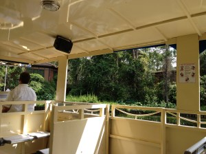 Catching a glimpse of the Treehouse Villas.