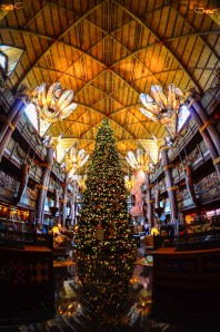Since we're on a roll, here's the Animal Kingdom Lodge tree, also taken last year.