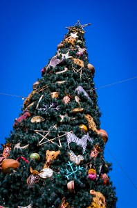 Oh, look - here's a picture of the Animal Kingdom tree. This one from 2011, although it still looks pretty much the same.