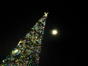 Over at Epcot, the World Showcase promenade Christmas tree shines in the moonlight.