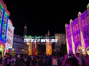 The real draw at DHS, of course, is the Osborne Spectacle of Dancing Lights.