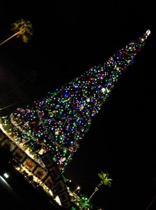 The DHS Christmas tree is very crooked, although this picture might involve a bit of hyperbole.