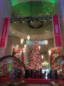 What you see when you come off the escalator.