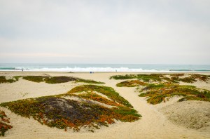 Coronado Beach, Coronado CA