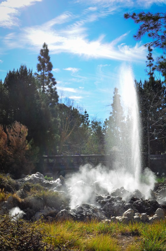 Who doesn't love a good water feature?