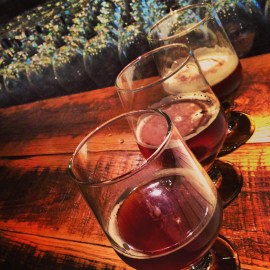 Beer tasting at the Stone Brewery.