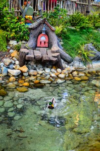 Critter Country, complete with real critters.