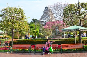 I call this "Still Life with Matterhorn (OW)."